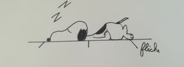Snoopi dore