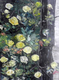 le rosier jaune