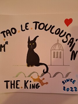Monsieur TAO le Chat Noir...by Fersé.