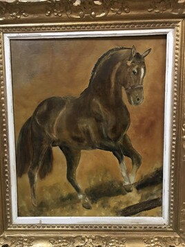 cheval en libert&eacute;