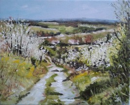 Chemin dans la Somme