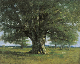 Ch&ecirc;ne de Flagey 2/4