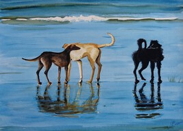 Les chiens sur la plage