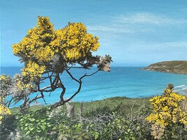 Ajoncs dans la baie d'Ecalgrain