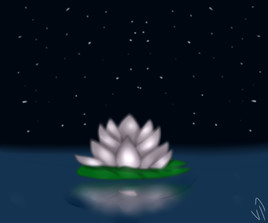 Lotus Flower ~
