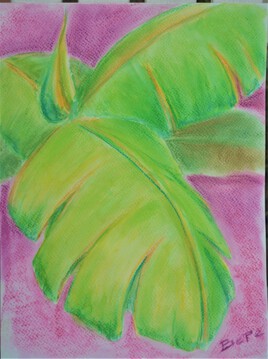 Feuilles de bananier