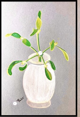 Le gui (Viscum album) / Painting The common mistletoe
