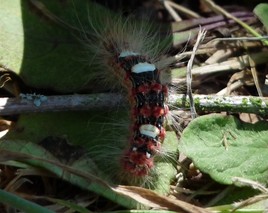 Frisson2 le retour...