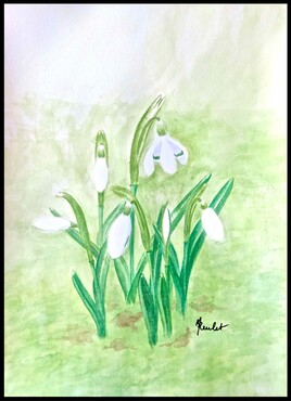 Les perce-neige / Painting : the snowdrops