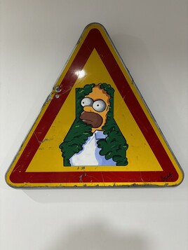 Homer « meme »