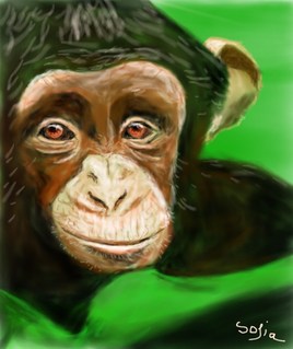 Le Chimpanzé ....