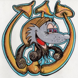 Opy et la danse des champignons