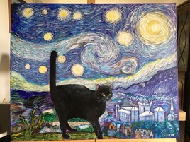 Une nuit &eacute;toil&eacute;e avec Jazz