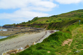 Nature du bord de mer