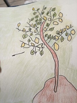 Copie de mon citronnier