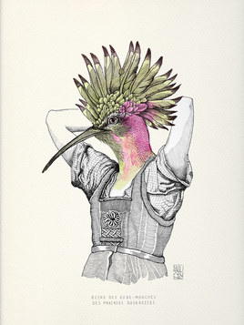 La reine des Gobes-Mouches