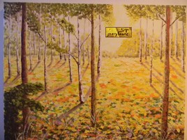 Lumi&egrave;re d'Automne