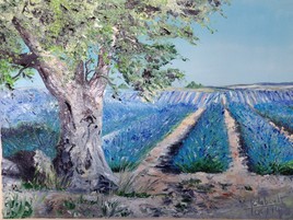 lavande &agrave; perte de vue