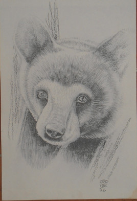 GOLETTO : Etude d'ours pour une toile en cours