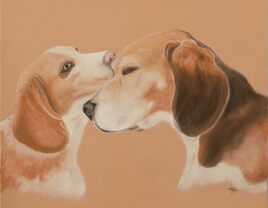 les beagles de Catherine les beagles de Catherine