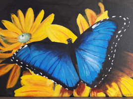 Papillon bleu sur fleurs jaunes