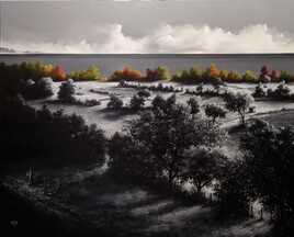 Le chercheur de couleurs