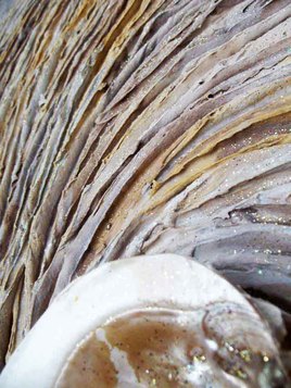 ~D&eacute;tail~La souffle du sable~