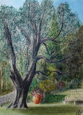 Jarre, Banc et Olivier