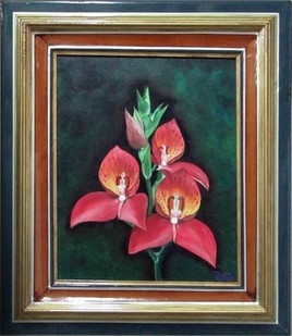 Orchid&eacute;es en balade