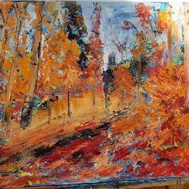 Dans un sous bois aux couleurs automnales