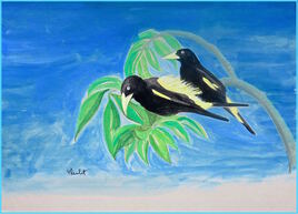 Cassiques cul-jaune (Cacicus cela) / Painting A couple of Yellow-rumped cacique