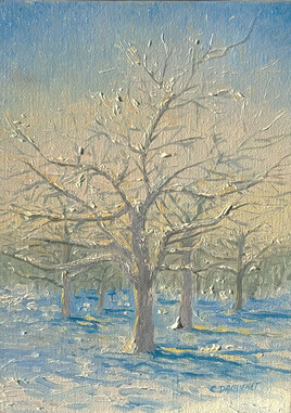 Pommiers sous la neige Saint-Mars