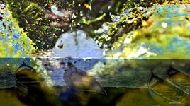 Demain peut &ecirc;tre !!!