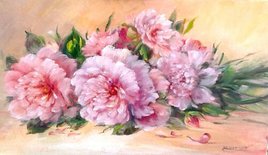 Pivoines du jardin