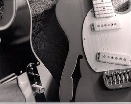 Guitare reçoit de la visite. 