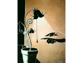 datura exp&eacute;rience