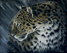 Le l&eacute;opard d'amour face au vent