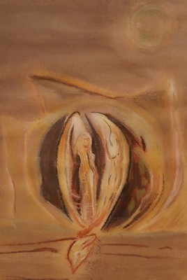 Naissance au f&eacute;minin