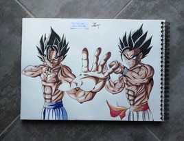 Vegeto/Gogeta