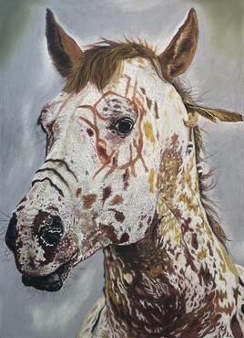 Appaloosa