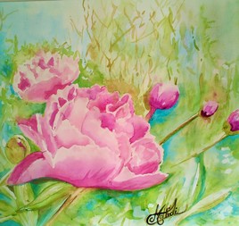 Pivoines