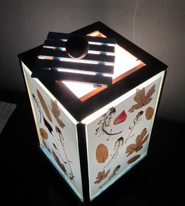 Maisonnette Zen&Quiet bleue