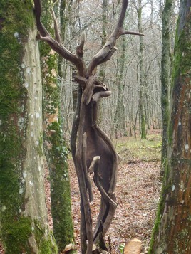 le cerf ,seigneur de la forêt