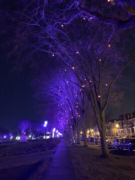 Rue colorer