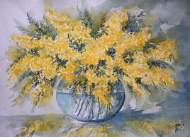 Mimosas l' &eacute;clat de Printemps