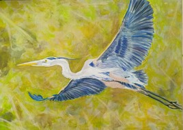 H&eacute;ron patapon