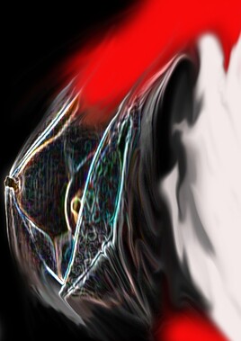 Mabele source de vie