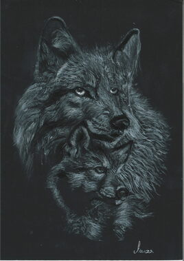 "Le deriner loup"