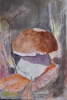 Le cèpe de Bordeaux