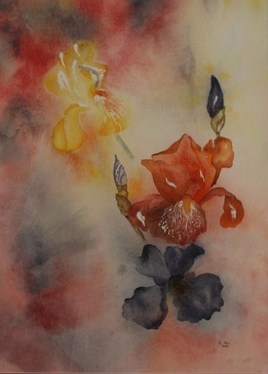 flammes d'iris